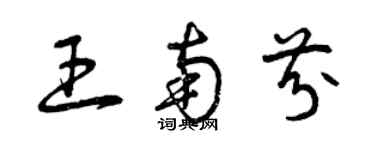 曾慶福王南芬草書個性簽名怎么寫