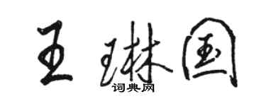 駱恆光王琳國行書個性簽名怎么寫