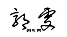 朱錫榮郭雯草書個性簽名怎么寫