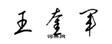 梁錦英王奎軍草書個性簽名怎么寫