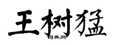 翁闓運王樹猛楷書個性簽名怎么寫