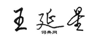 駱恆光王延星行書個性簽名怎么寫