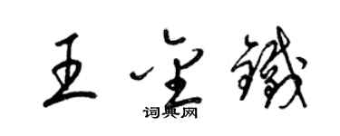 梁錦英王金鐵草書個性簽名怎么寫