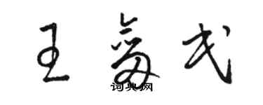 駱恆光王劍民草書個性簽名怎么寫