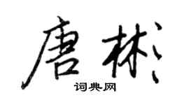 王正良唐彬行書個性簽名怎么寫
