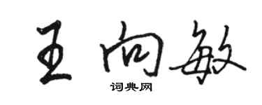 駱恆光王向敏行書個性簽名怎么寫