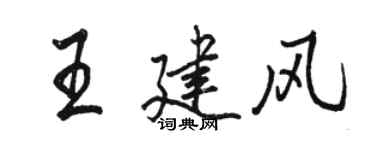 駱恆光王建風行書個性簽名怎么寫