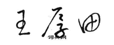 駱恆光王厚田草書個性簽名怎么寫