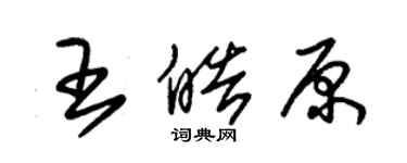 朱錫榮王皓原草書個性簽名怎么寫