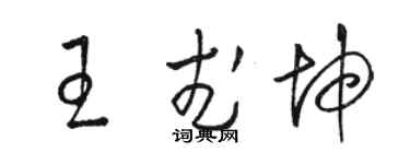 駱恆光王武坤草書個性簽名怎么寫