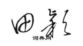 駱恆光田穎草書個性簽名怎么寫