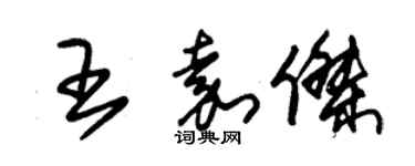 朱錫榮王嘉傑草書個性簽名怎么寫