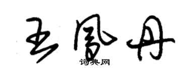 朱錫榮王鳳丹草書個性簽名怎么寫