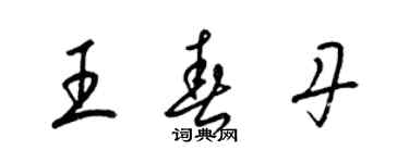 梁錦英王春丹草書個性簽名怎么寫