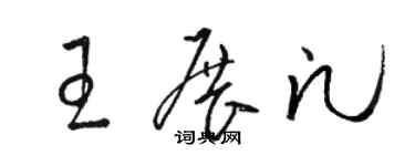 駱恆光王展凡草書個性簽名怎么寫