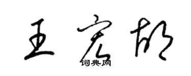 梁錦英王宏胡草書個性簽名怎么寫