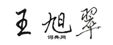 駱恆光王旭翠行書個性簽名怎么寫