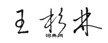 駱恆光王杉林草書個性簽名怎么寫