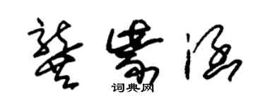 朱錫榮龔紫涵草書個性簽名怎么寫