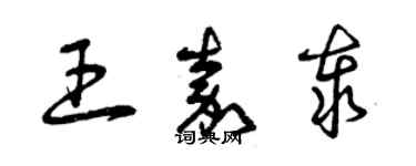 曾慶福王嘉泰草書個性簽名怎么寫