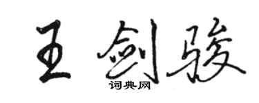 駱恆光王劍駿行書個性簽名怎么寫