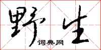 錢沛雲野生行書怎么寫