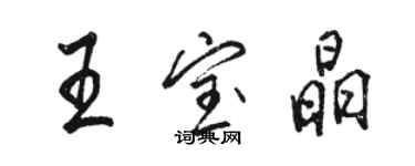 駱恆光王寶晶行書個性簽名怎么寫