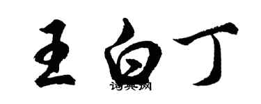 胡問遂王白丁行書個性簽名怎么寫