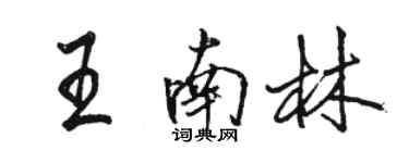 駱恆光王南林行書個性簽名怎么寫