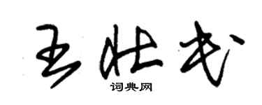 朱錫榮王壯民草書個性簽名怎么寫