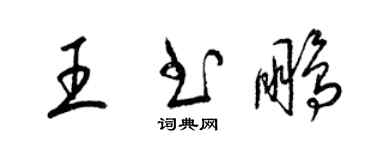 梁錦英王書鵬草書個性簽名怎么寫