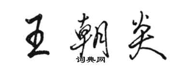 駱恆光王朝炎行書個性簽名怎么寫