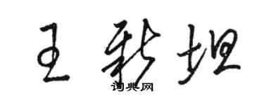 駱恆光王新坦草書個性簽名怎么寫