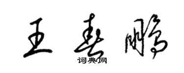 梁錦英王春鵬草書個性簽名怎么寫