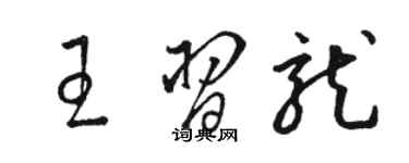 駱恆光王習龍草書個性簽名怎么寫