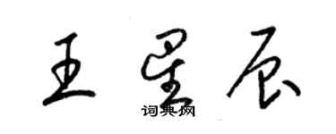 梁錦英王星辰草書個性簽名怎么寫