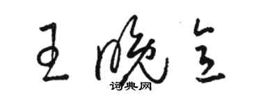 駱恆光王晚意草書個性簽名怎么寫