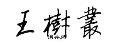 王正良王樹叢行書個性簽名怎么寫