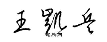 梁錦英王凱兵草書個性簽名怎么寫