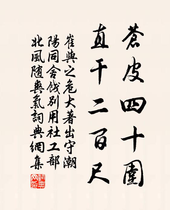 塵事俄消日，他鄉亦作年 詩詞名句