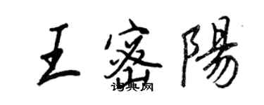 王正良王密陽行書個性簽名怎么寫