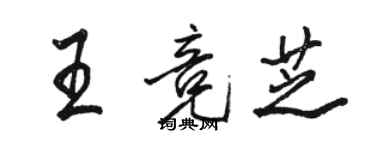 駱恆光王競芝行書個性簽名怎么寫