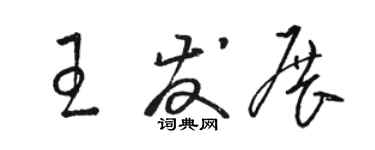 駱恆光王發展草書個性簽名怎么寫