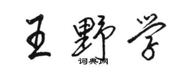 駱恆光王野學行書個性簽名怎么寫