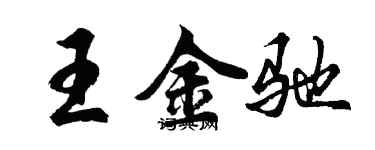 胡問遂王金馳行書個性簽名怎么寫