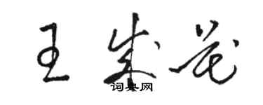 駱恆光王成花草書個性簽名怎么寫