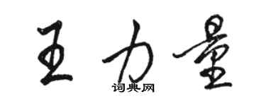 駱恆光王力量行書個性簽名怎么寫