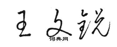 駱恆光王文銳草書個性簽名怎么寫