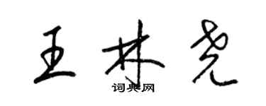 梁錦英王林堯草書個性簽名怎么寫