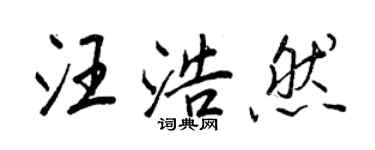 王正良汪浩然行書個性簽名怎么寫